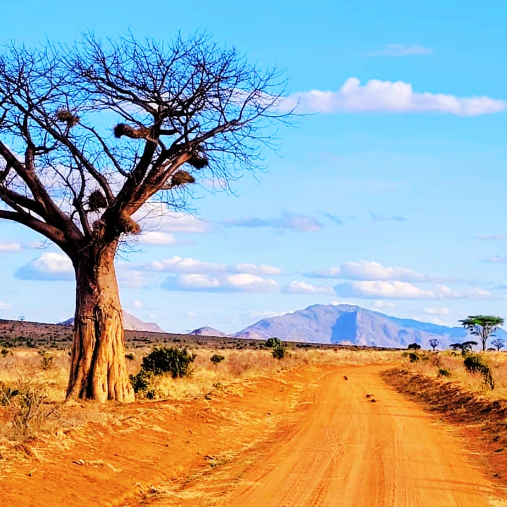 -3 day masai mara plan from nairobi - masha-mit-jeep-safaris-tours-and-travel